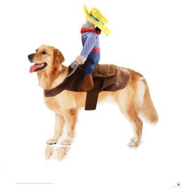 Dog Clothes Personality Funny Change Into Horse Riding Outfit